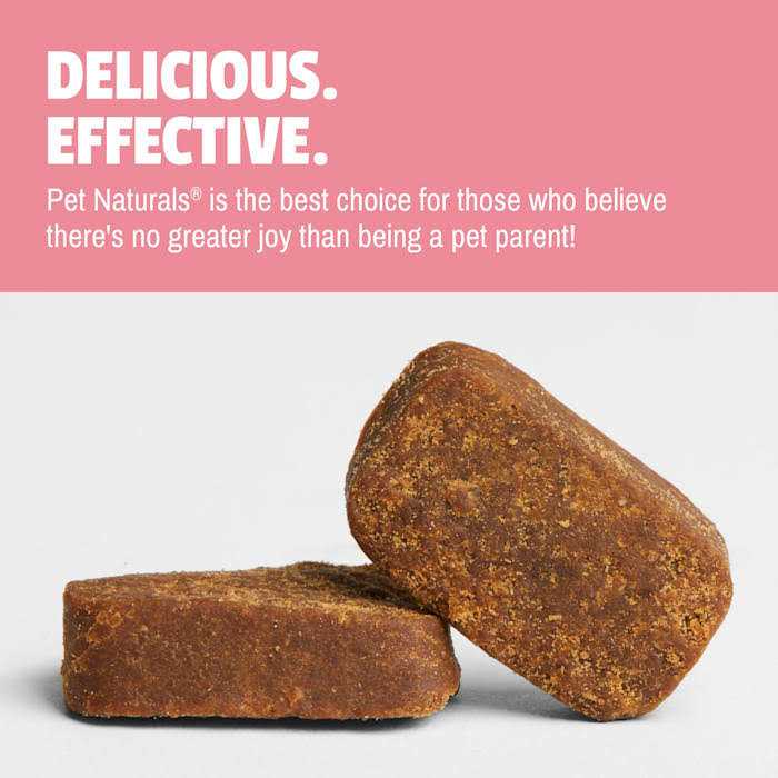 Daily Probiotic for Dogs G6851