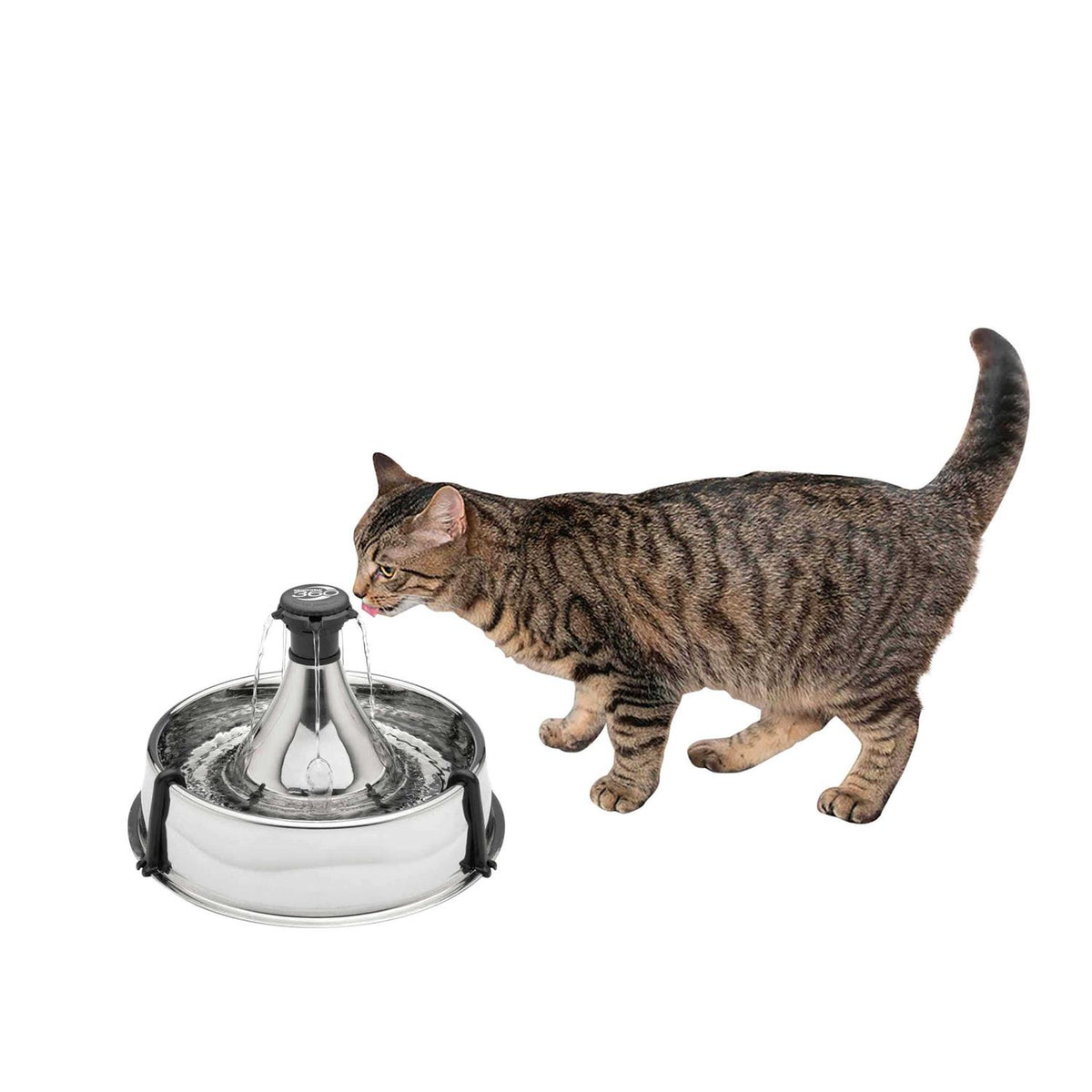 Stainless Steel Pet Fountain Q2505