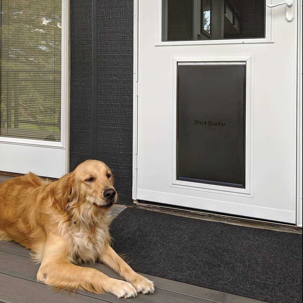 Pet Storm Door Q8473