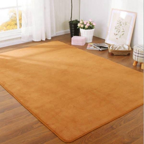 Thick Carpet for Living Room M2138