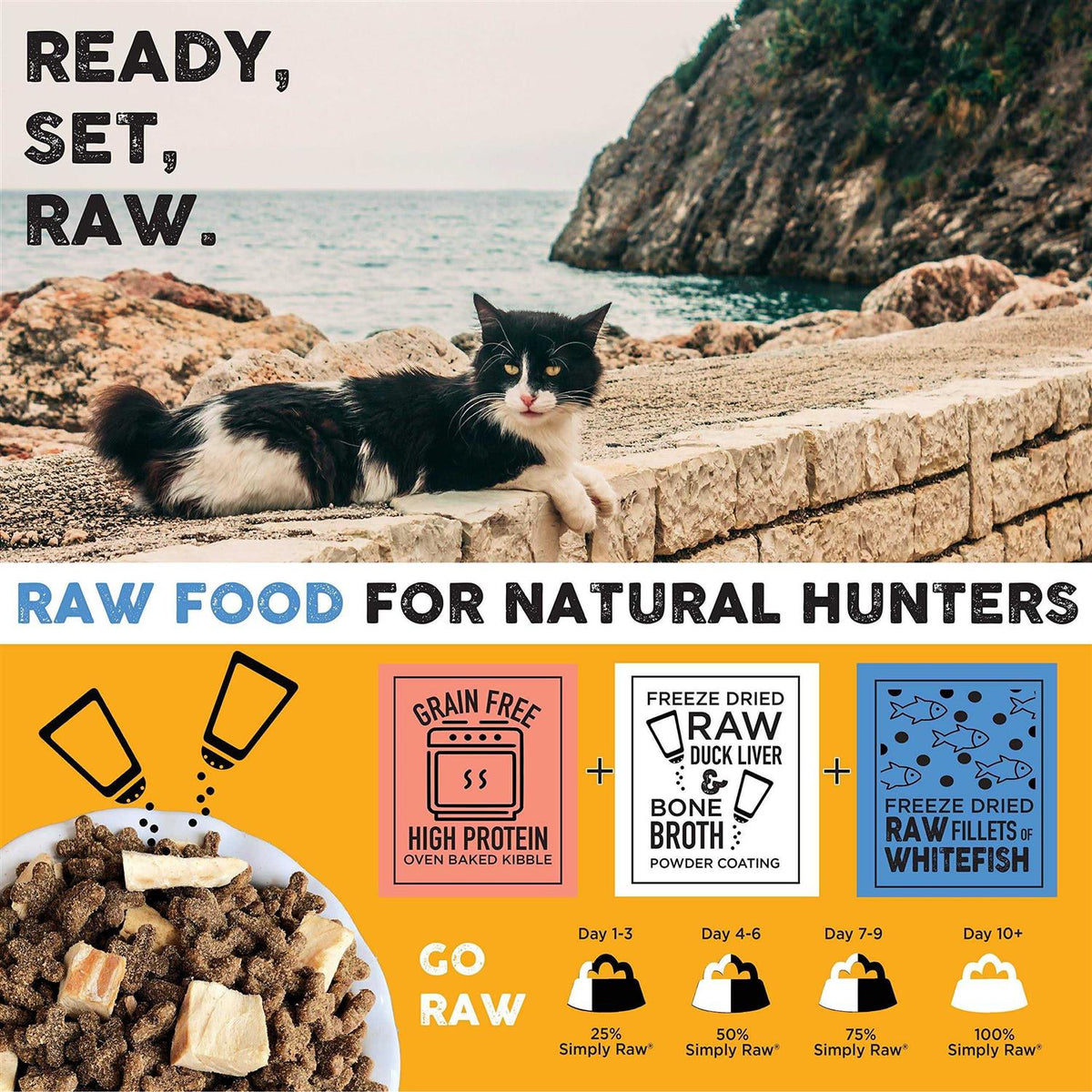 Raw Cat Kibble with Freeze-Dried Raw Whitefish T819651