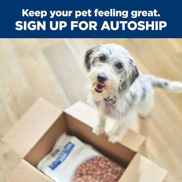 Dog Treats U415672
