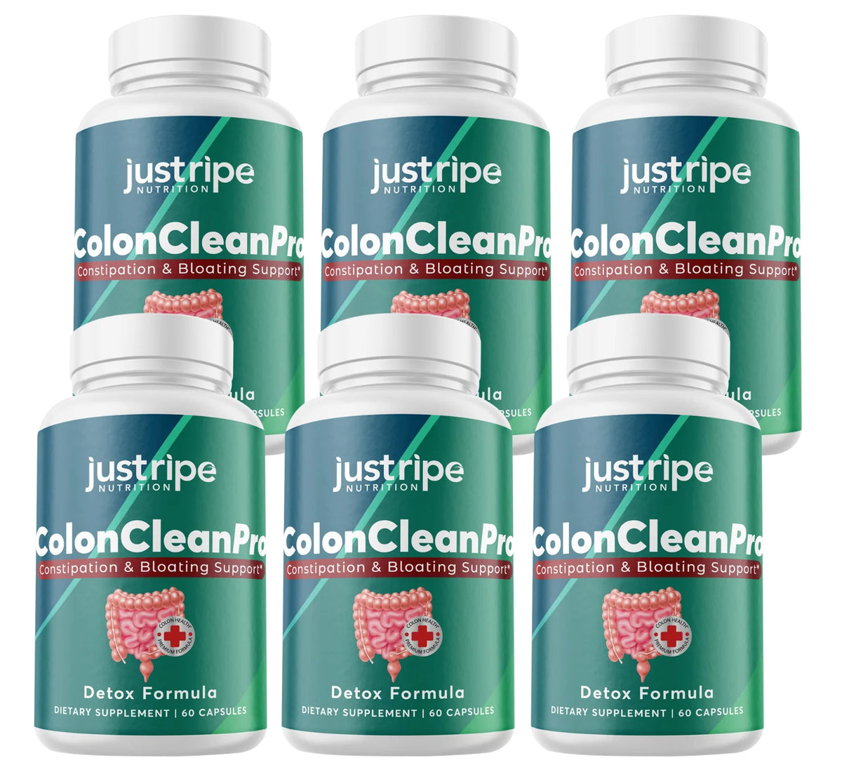 6 Pack Natural Digestive Support Supplement 60ct V32980