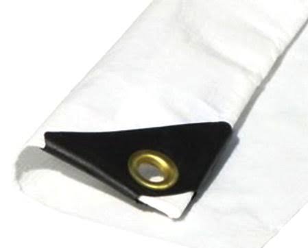 Extra Heavy Duty 12 Mil White Tarp 3 Ply Coated Reinforced Canopy 6 oz 3 Layer 20 x 40 R776