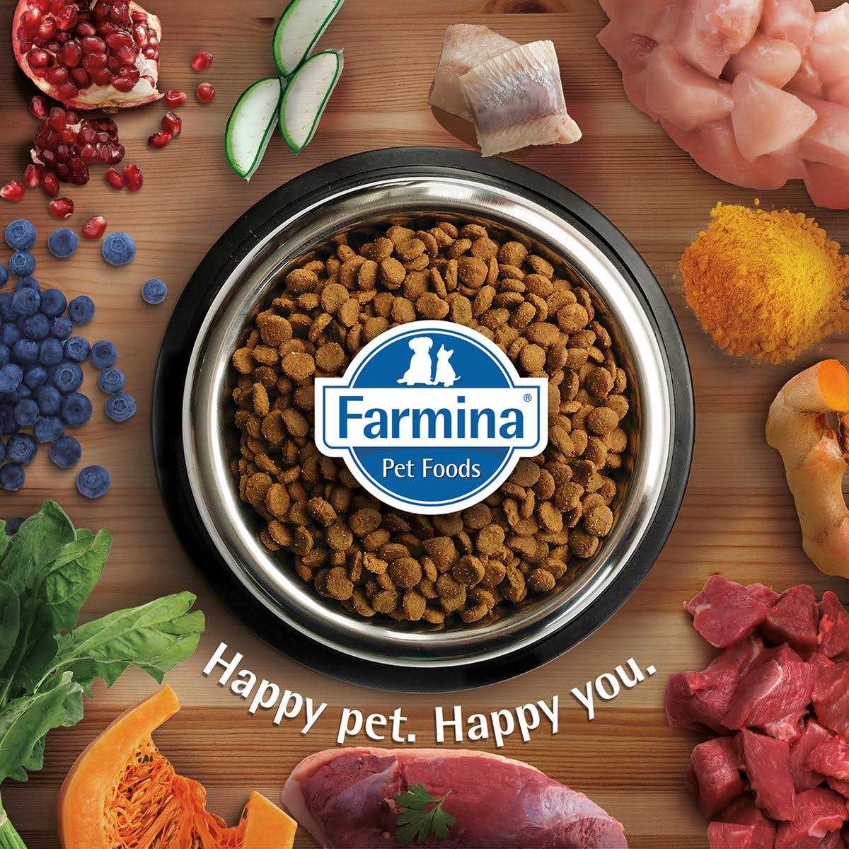 Lamb Dry Cat Food L86947