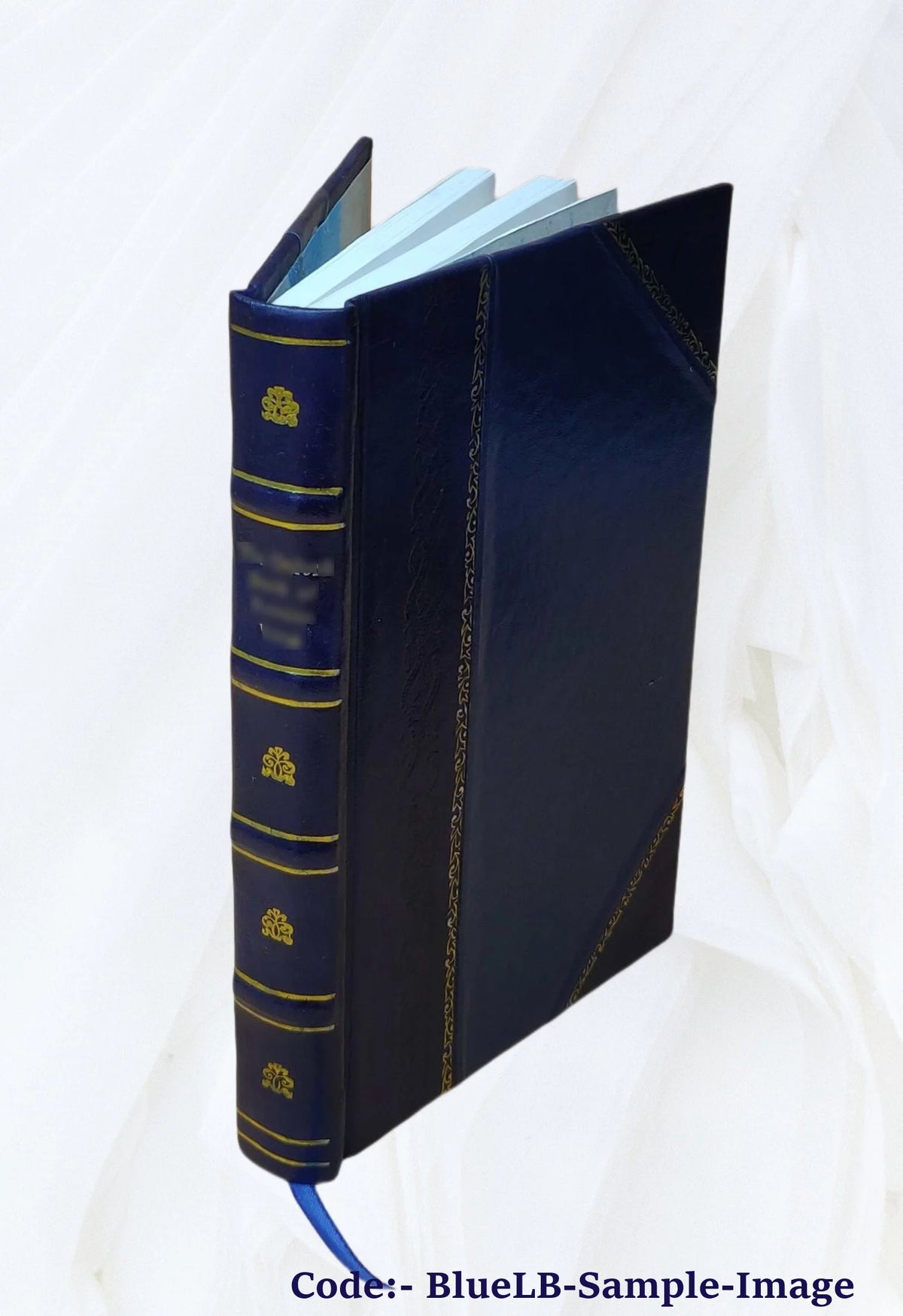 Proceedings of the American Electric Railway Accountants' Association Volume v.29 1925 Leather Bound H874258