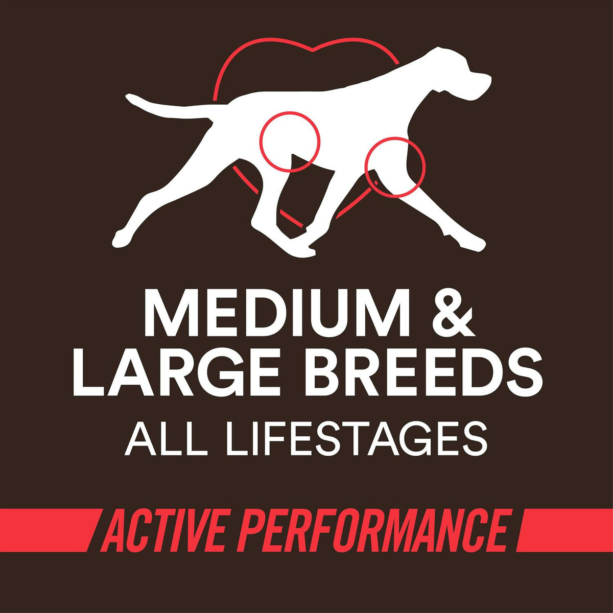 High-Protein Beef & Rice Recipe Dry Dog Food M130