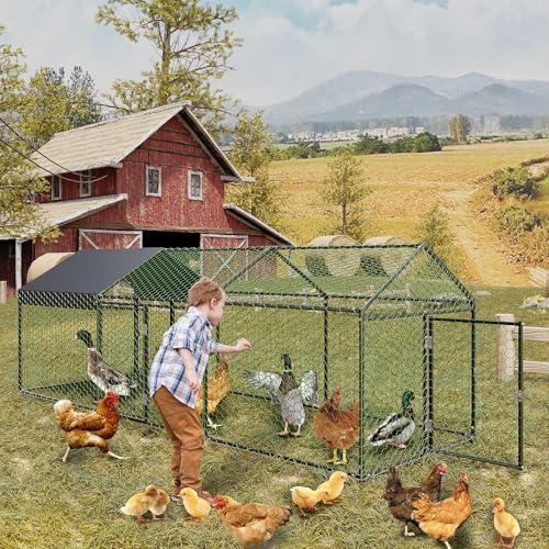 Large Metal Chicken Coop with Cover A52030
