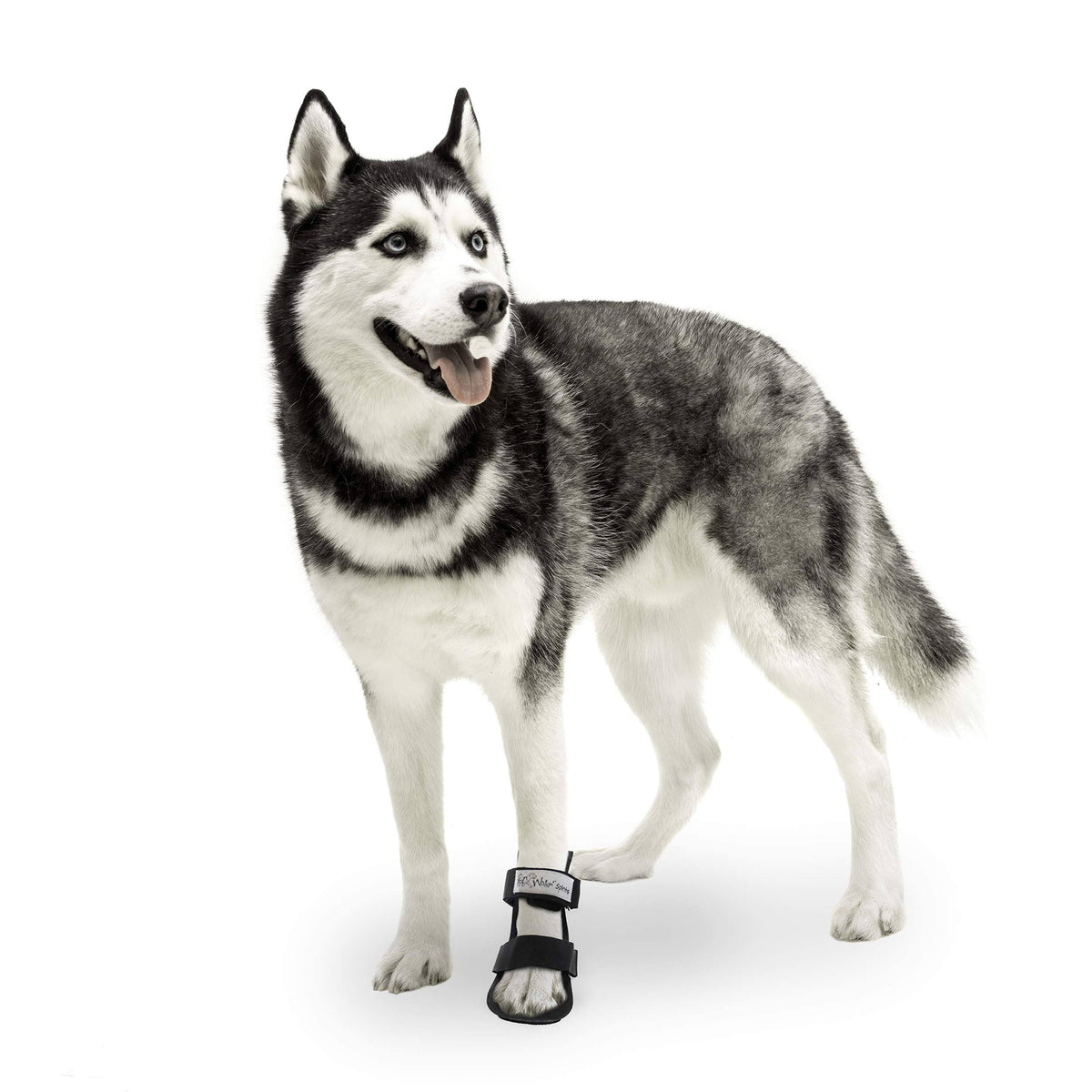 Pet Splint for Dogs Medium L2332