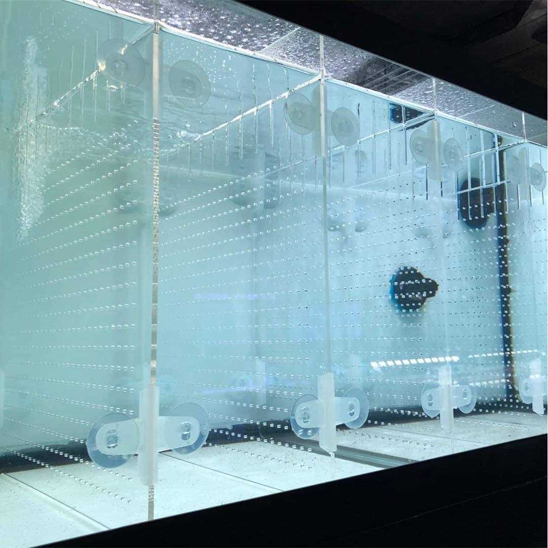 Acrylic Aquarium Divider Kit with Suction Cups D6736