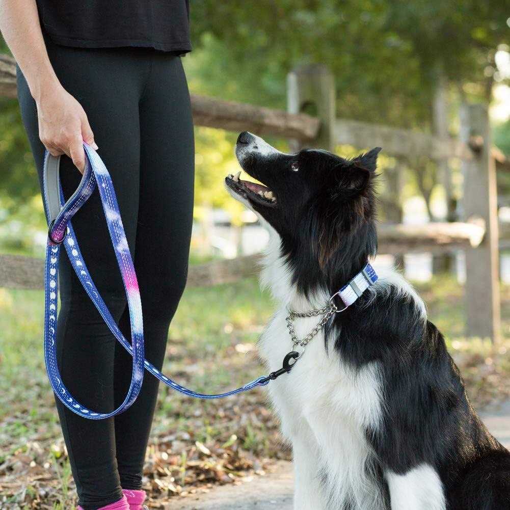Patterned Reflective Chain Martingale Dog Collar M900261