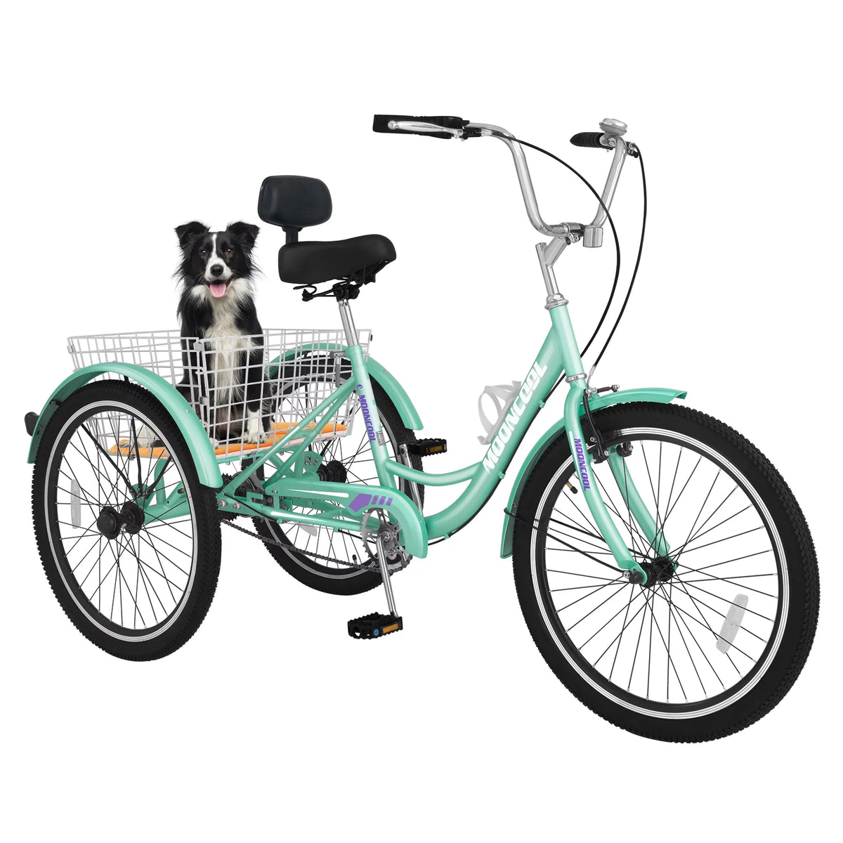 24 Single Speed Tricycle with Basket V4949