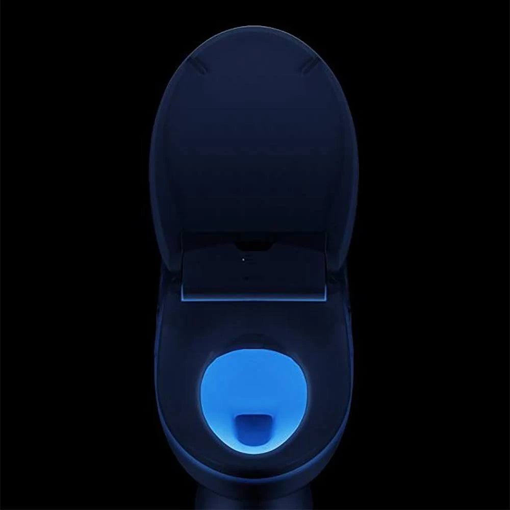 White Elongated Bidet Toilet Seat K65039