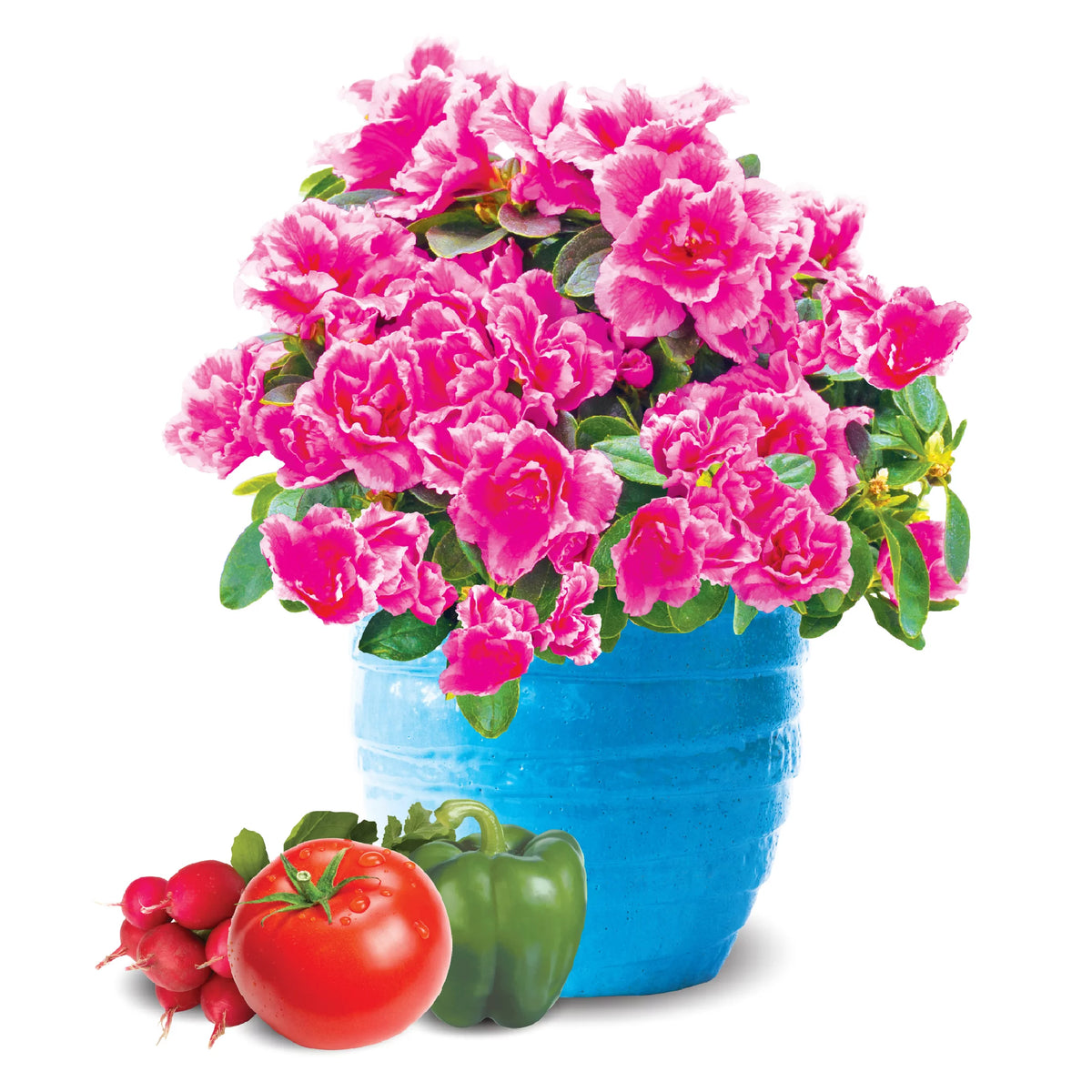 Natural & Organic 8 qt Potting Mix 4 Pack Y580
