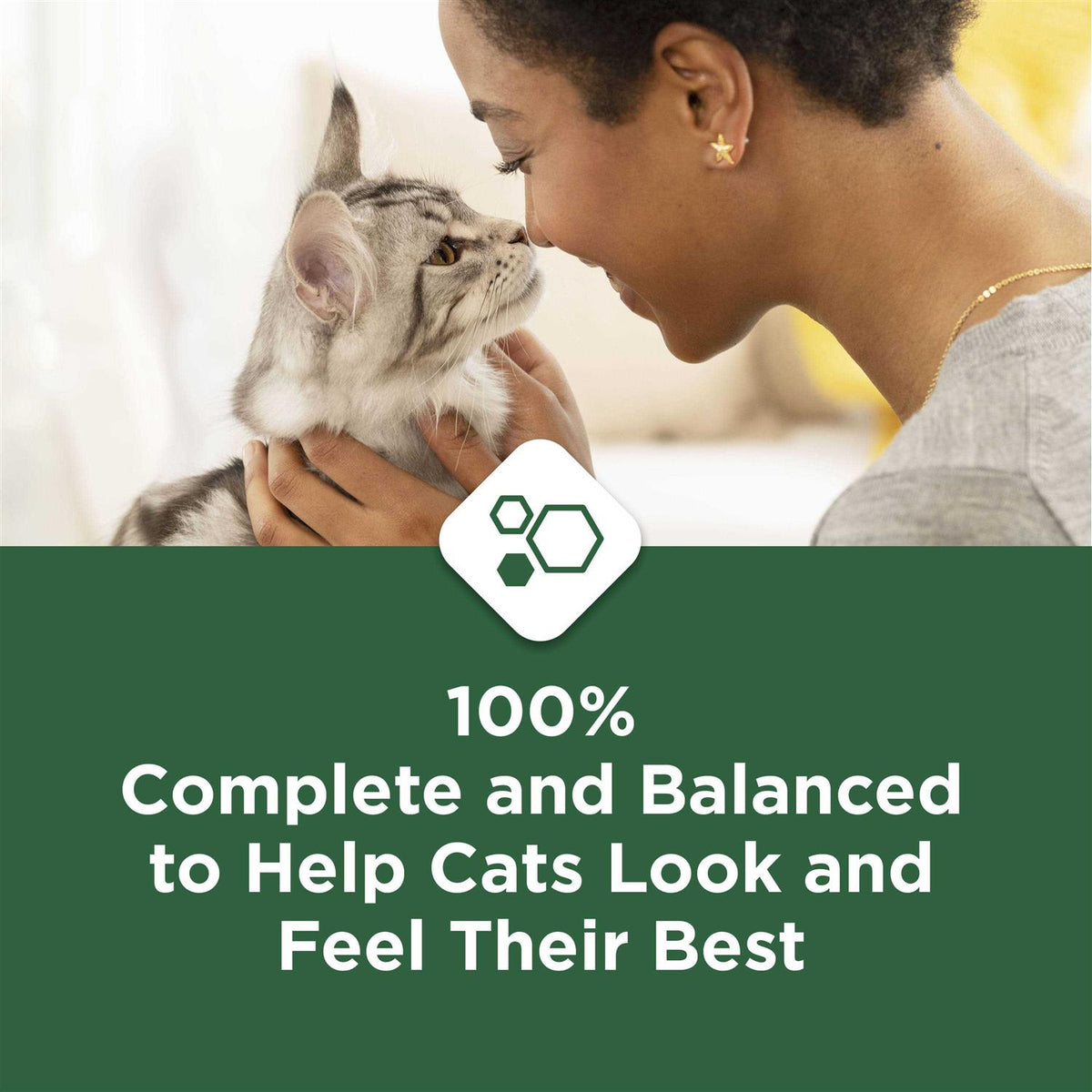 Indoor Dry Cat Food A851