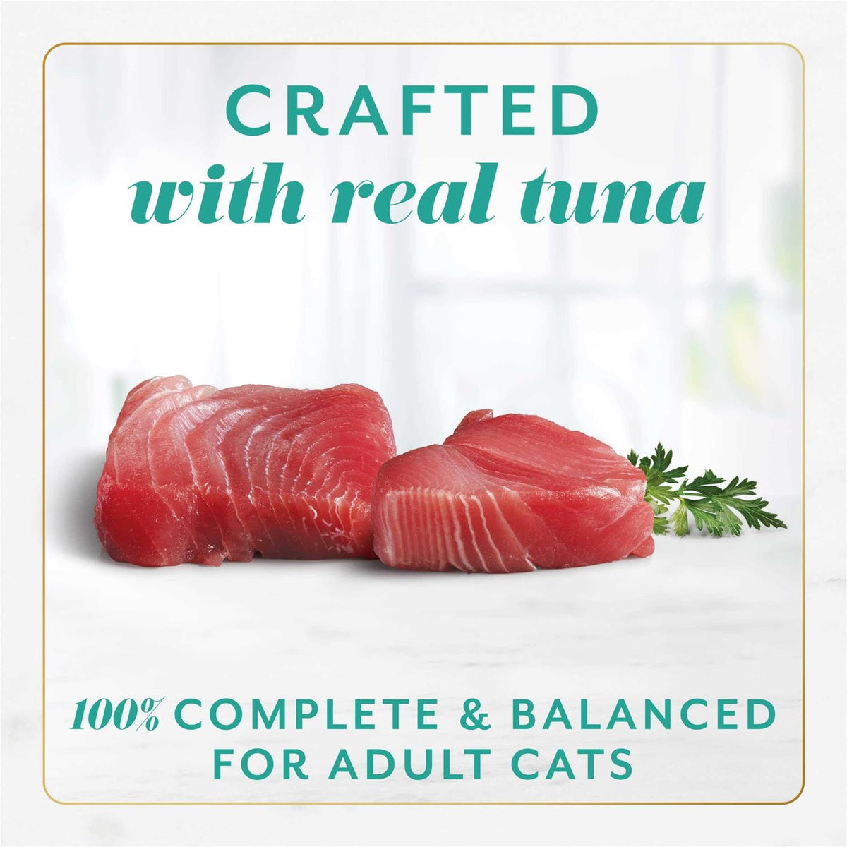 Wet Cat Food A8718