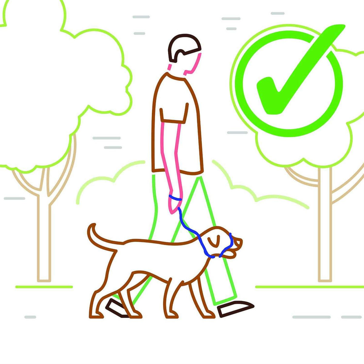 Anti Pull Dog Leash Halter Head Collar One Size Fits All E730