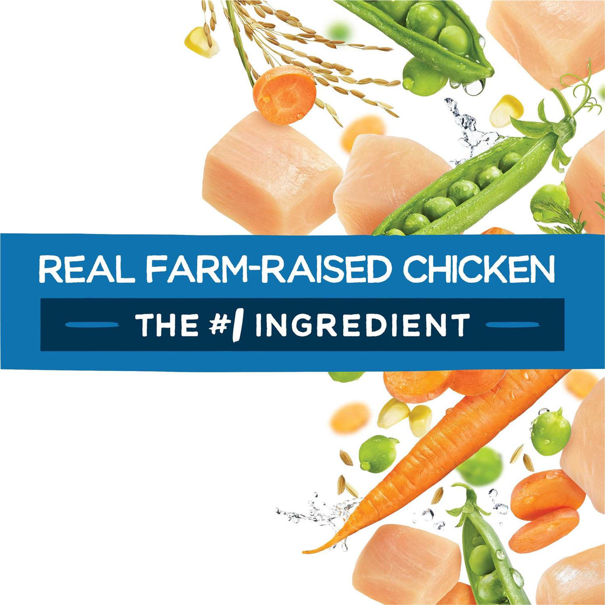 Chicken Dry Dog Food A9859