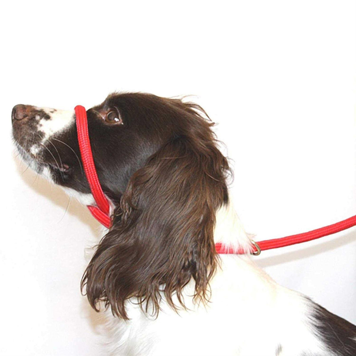 Anti Pull Dog Leash Halter Head Collar One Size Fits All E730