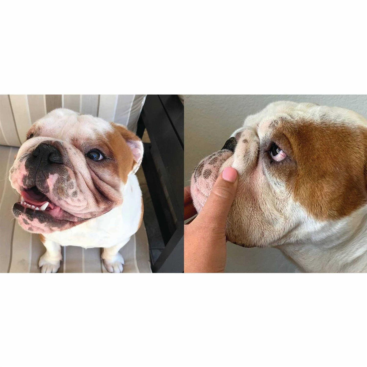 Wrinkle Paste + Wrinkle Wipes L8193