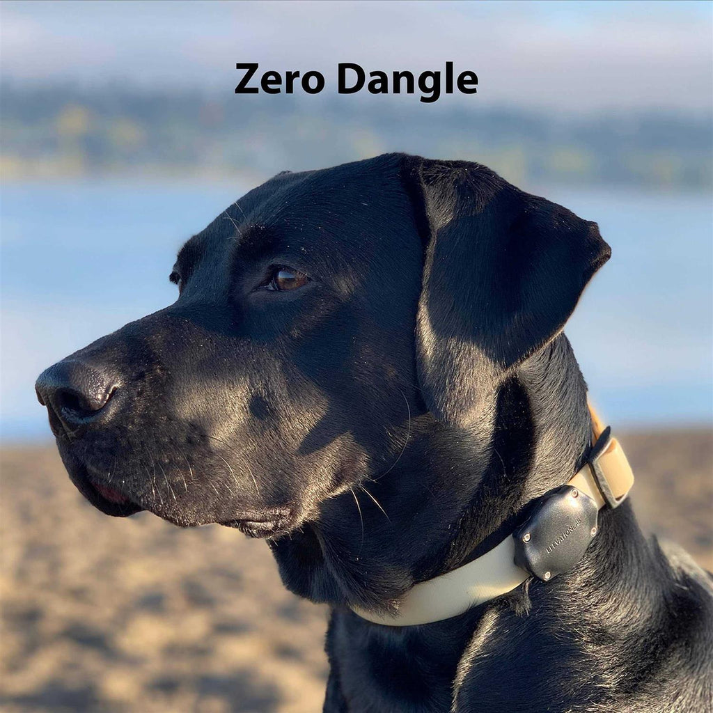 Waterproof AirTag Dog Collar Mount I160174