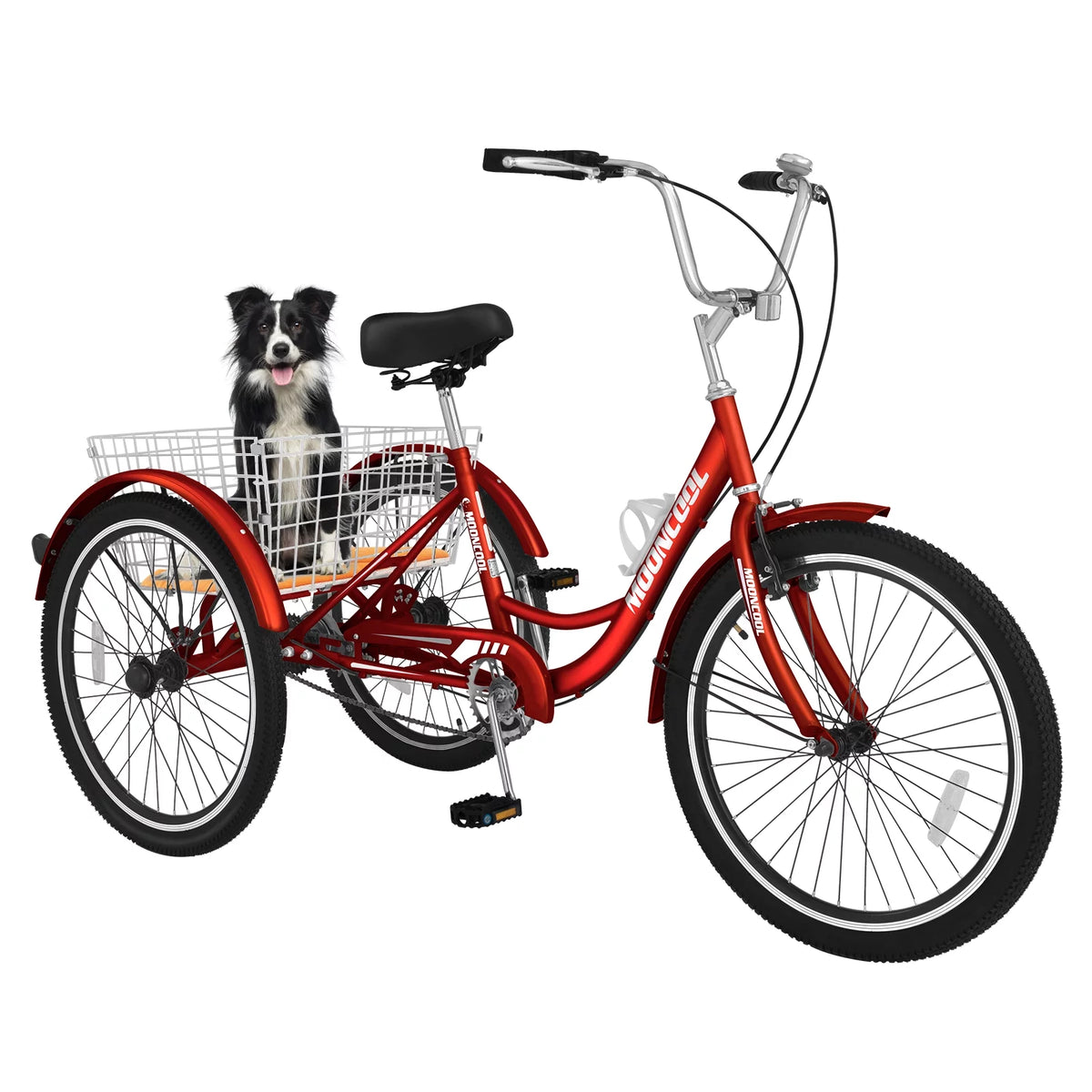 24 Single Speed Tricycle with Basket V4949