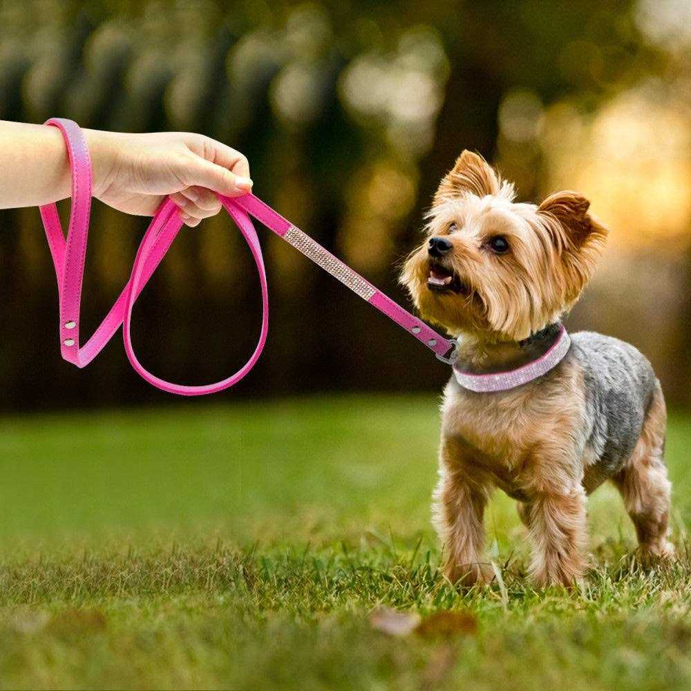 Rhinestone Soft Suede Leather Dog Collar H2139