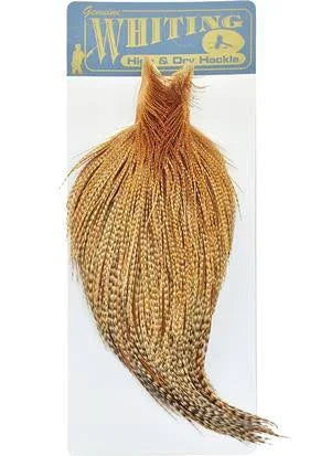 Golden Straw Dyed Grizzly Hackle Cape O493
