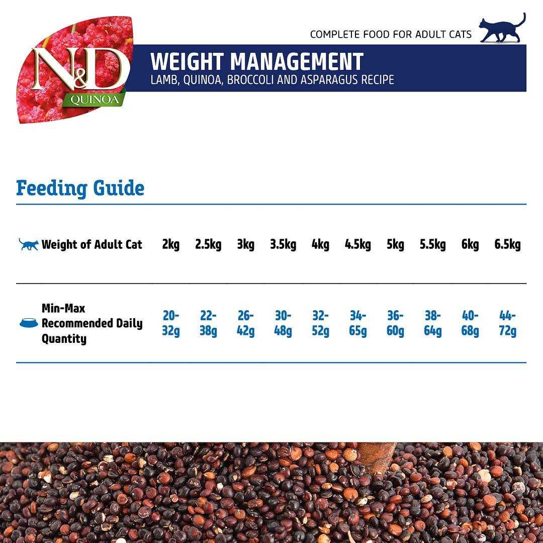 Lamb Dry Cat Food L86947