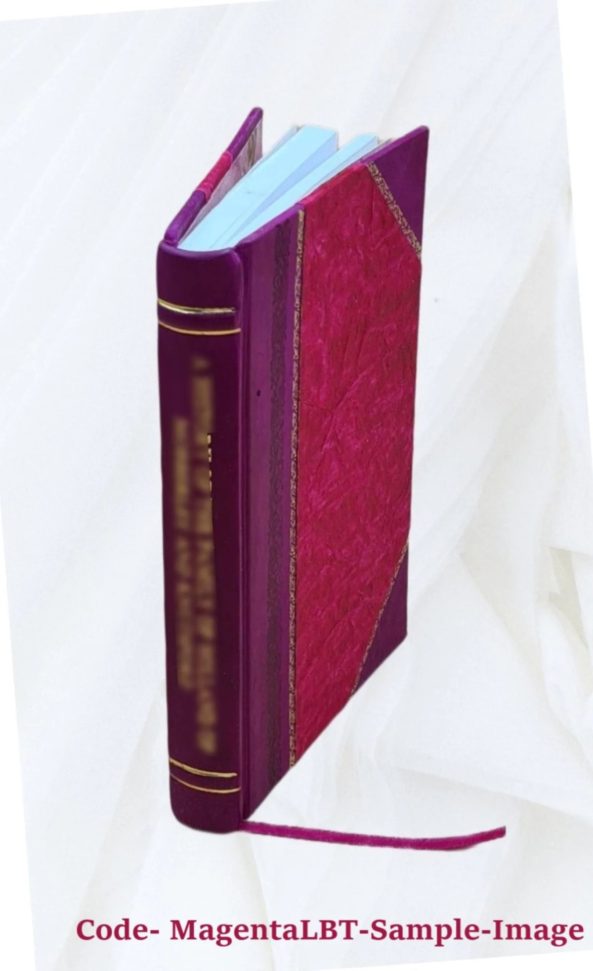 Leather Bound Book Z31635