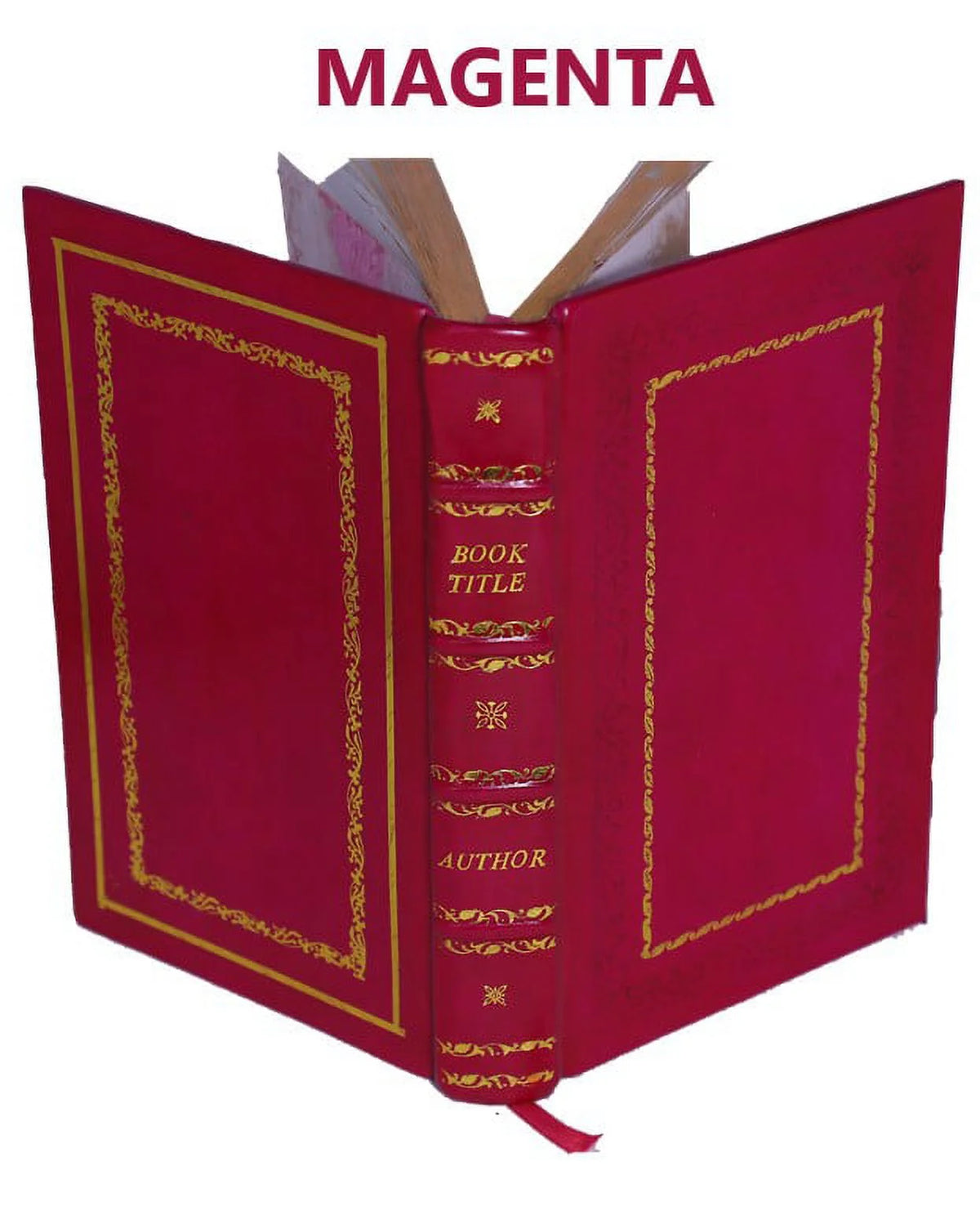 Statique expérimentale et théorique des liquides soumis aux seules forces moléculaires Volume 2 J3127