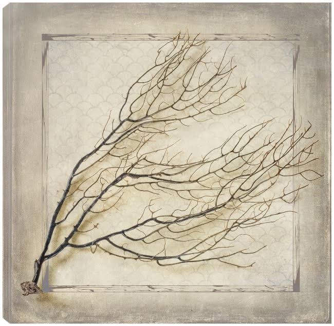22X22 Canvas Art N3098