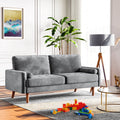 Velvet Sofa with 2 Pillows N772