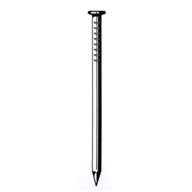 Bright Common Nail B3757