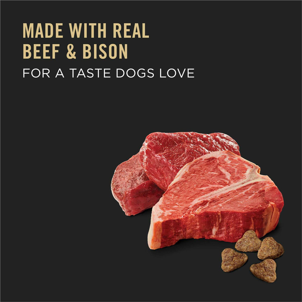 Beef & Bison Formula Dry Dog Food E43991