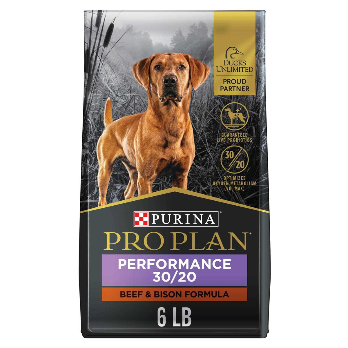 Beef & Bison Formula Dry Dog Food E43991