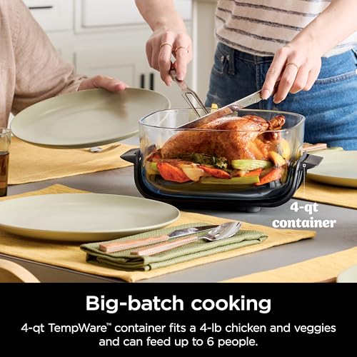 Green 4 QT & 6 Cup Glass Air Fryer P268346