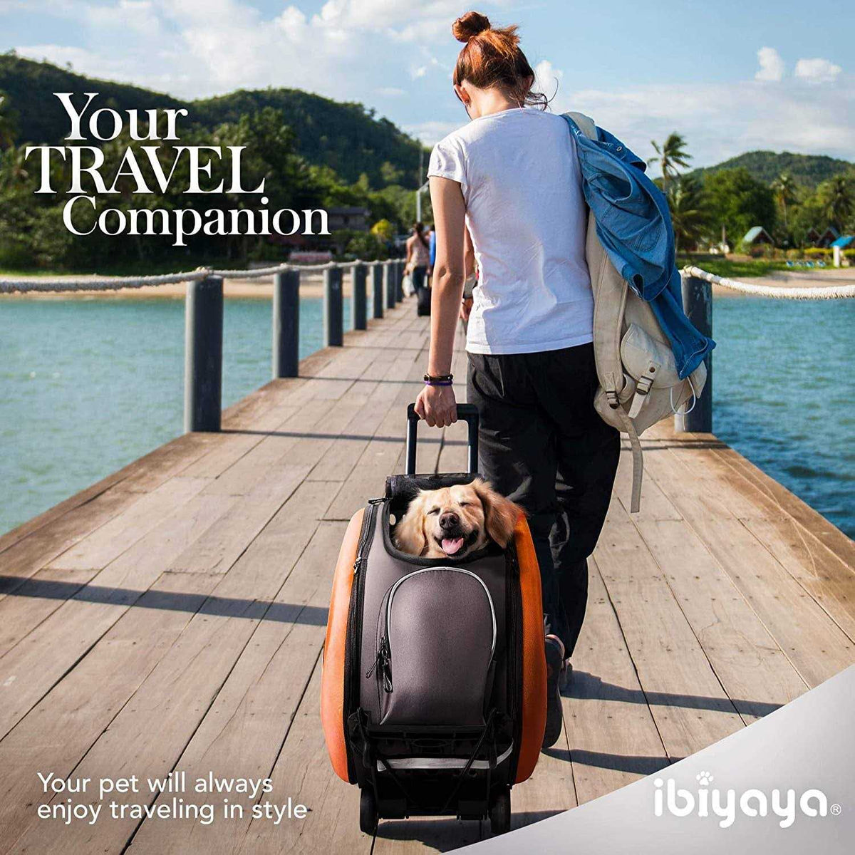 EVA Pet Carrier Stroller B5200
