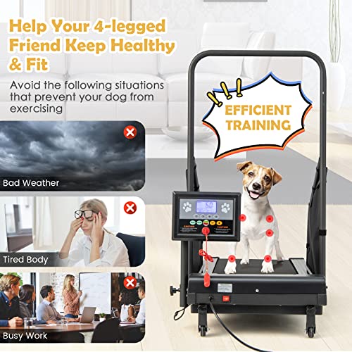 Black Pet Treadmill with Remote Control and 1.4'' Display Screen L212595