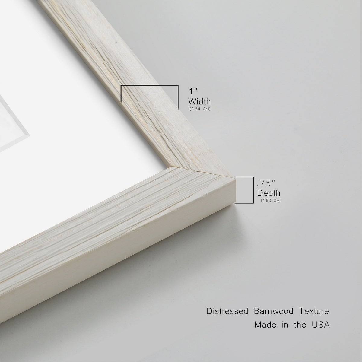Framed Print Q571
