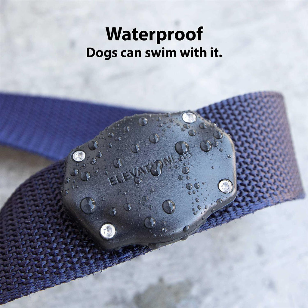 Waterproof AirTag Dog Collar Mount I160174