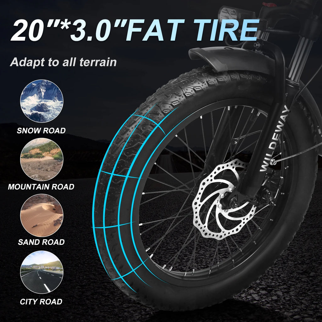 Folding Electric Bicycle 750w 48v 32ah 7 Speeds 20×3.0 Fat Tire Black Z605