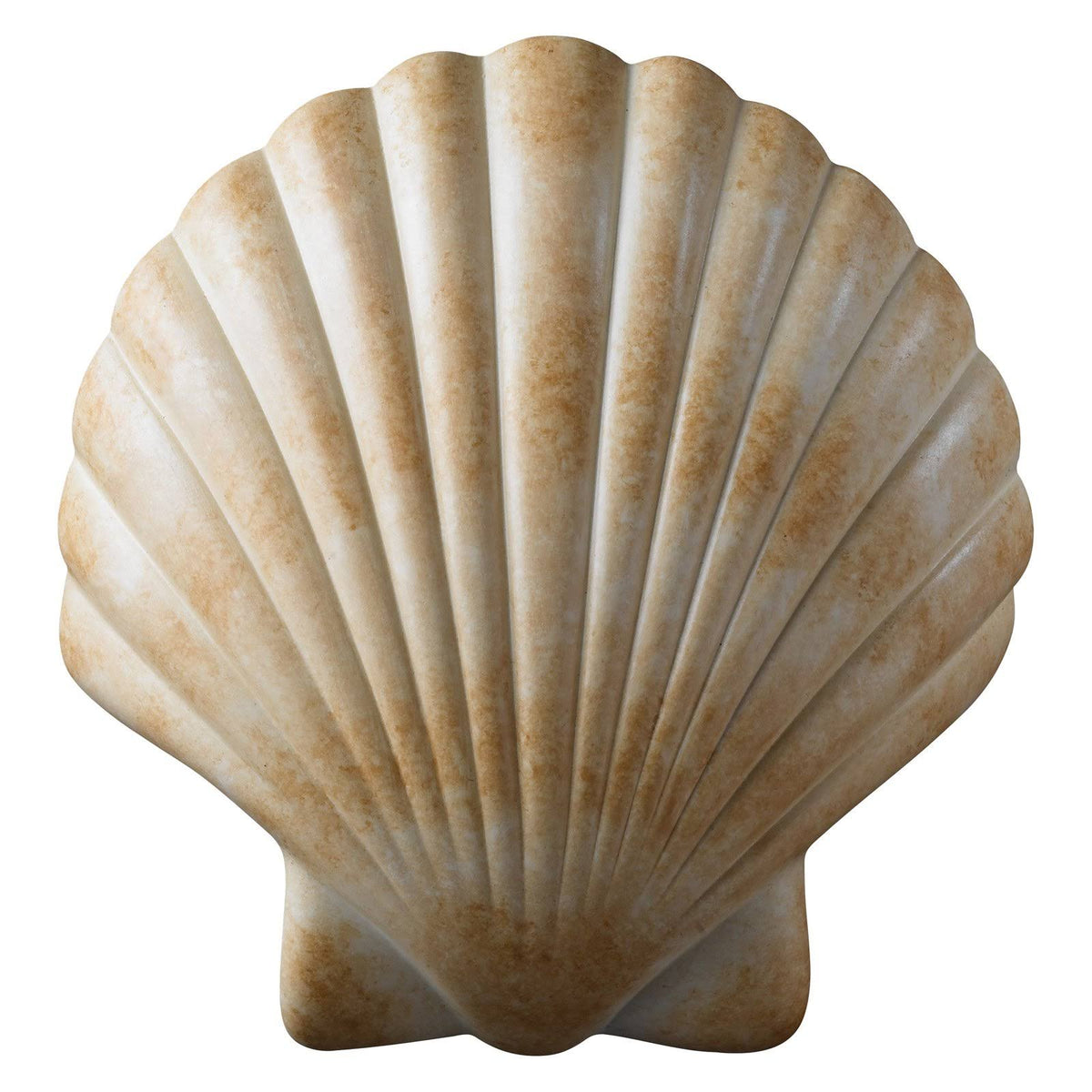 ADA Scallop Shell Wall Sconce P96877