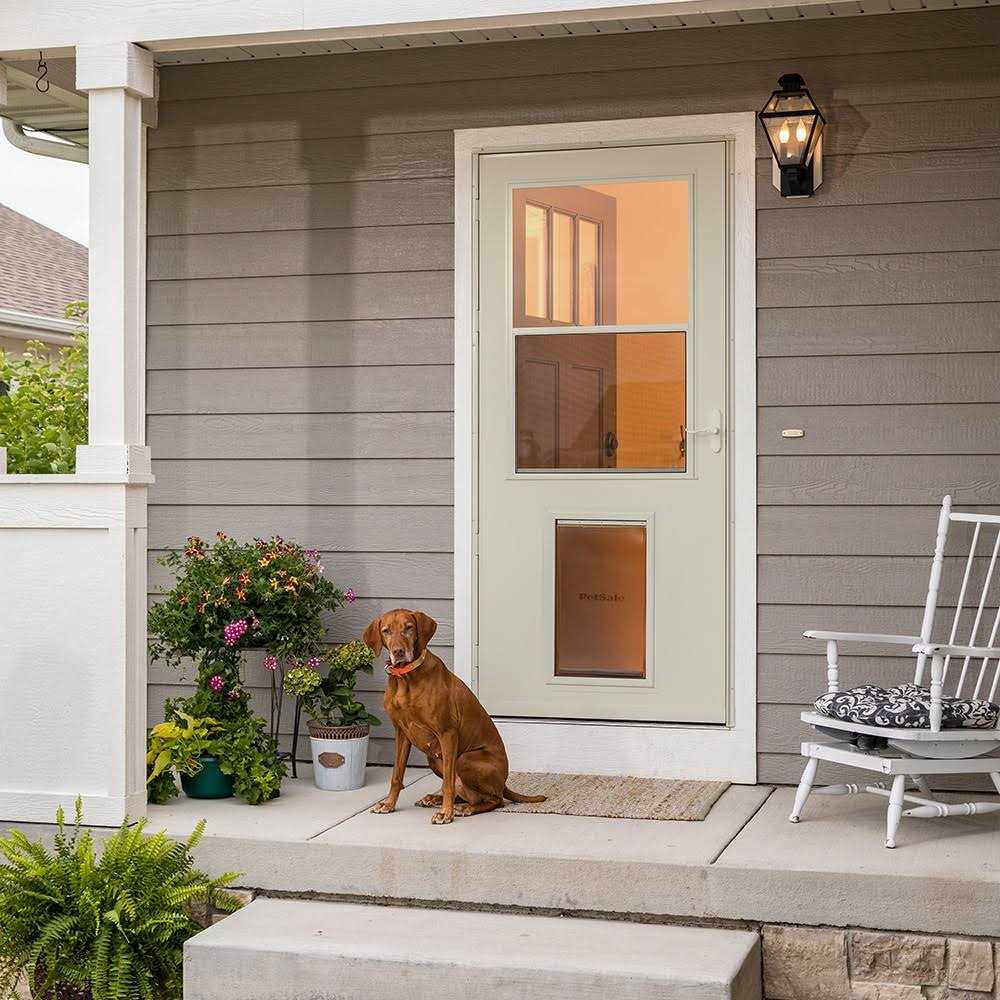 Pet Storm Door Q8473