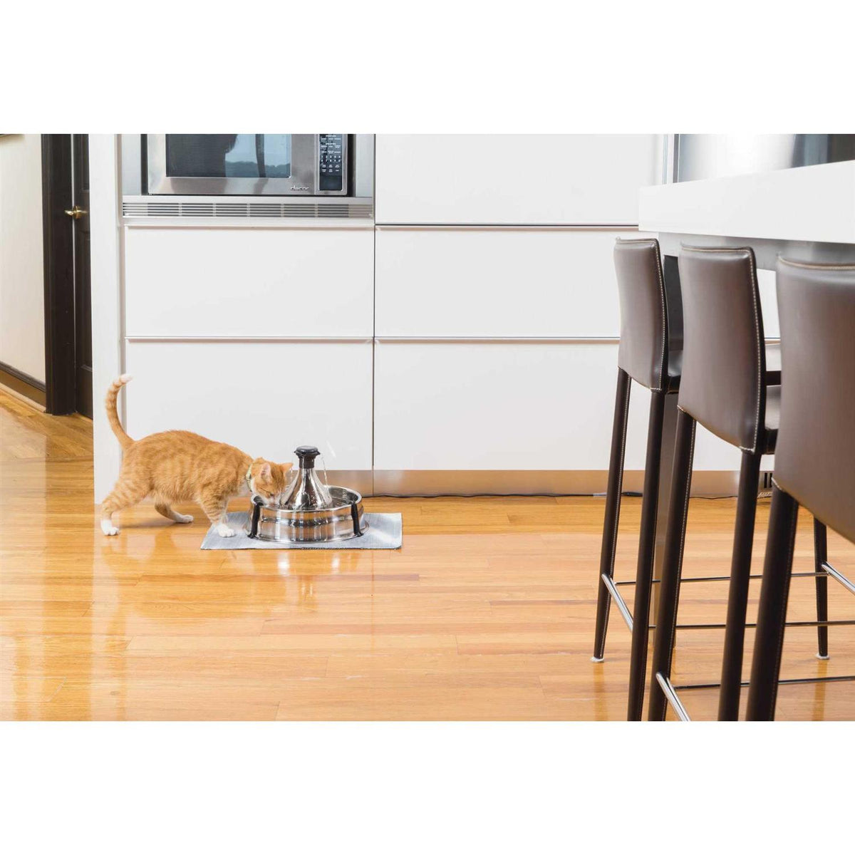 Stainless Steel Pet Fountain Q2505