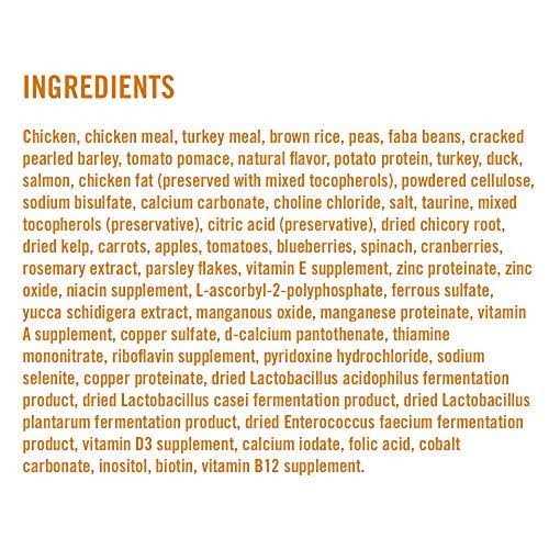 Chicken Brown Rice Recipe Dry Cat Food N839869