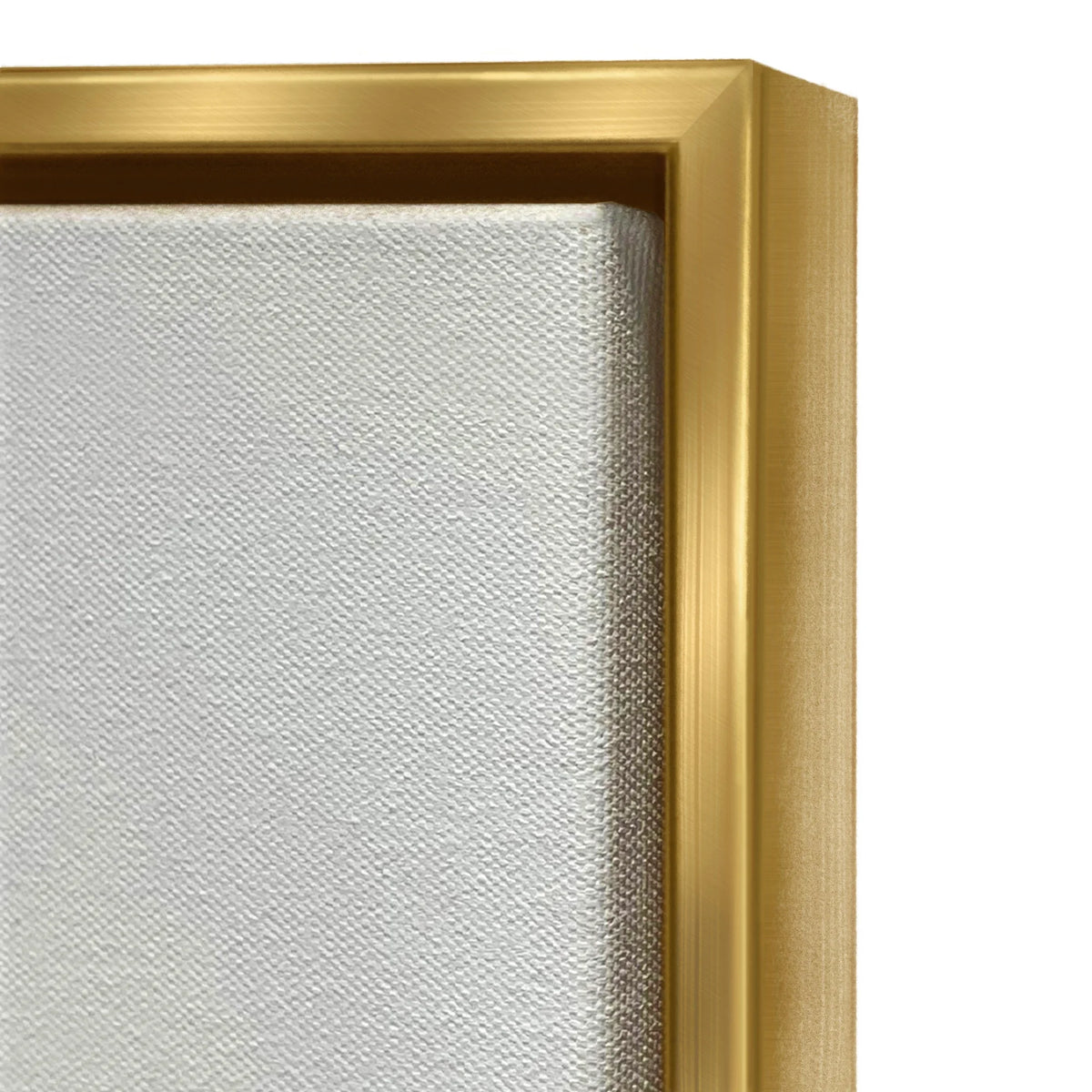 Metallic Gold Framed Canvas Print Wall Art S186958