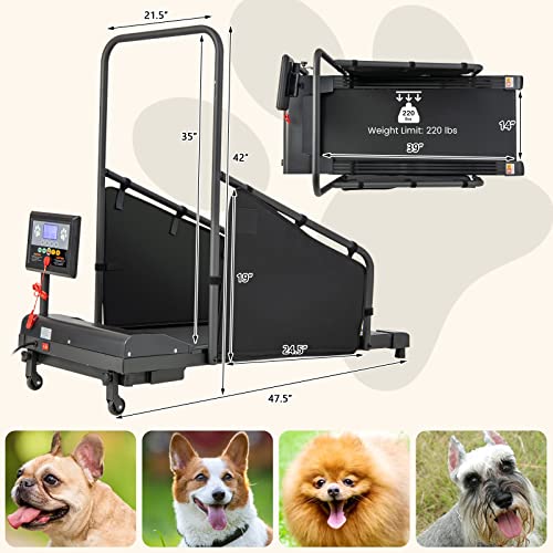 Black Pet Treadmill with Remote Control and 1.4'' Display Screen L212595