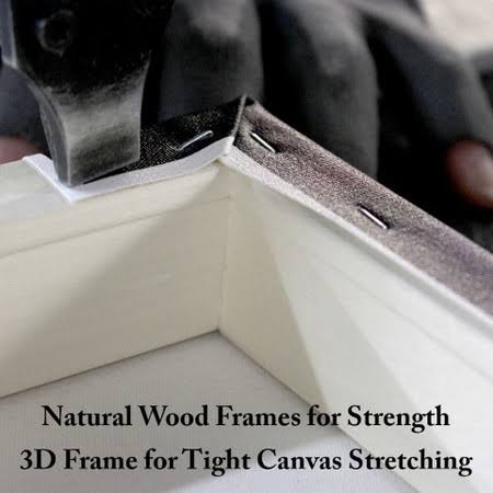 Canvas H30155