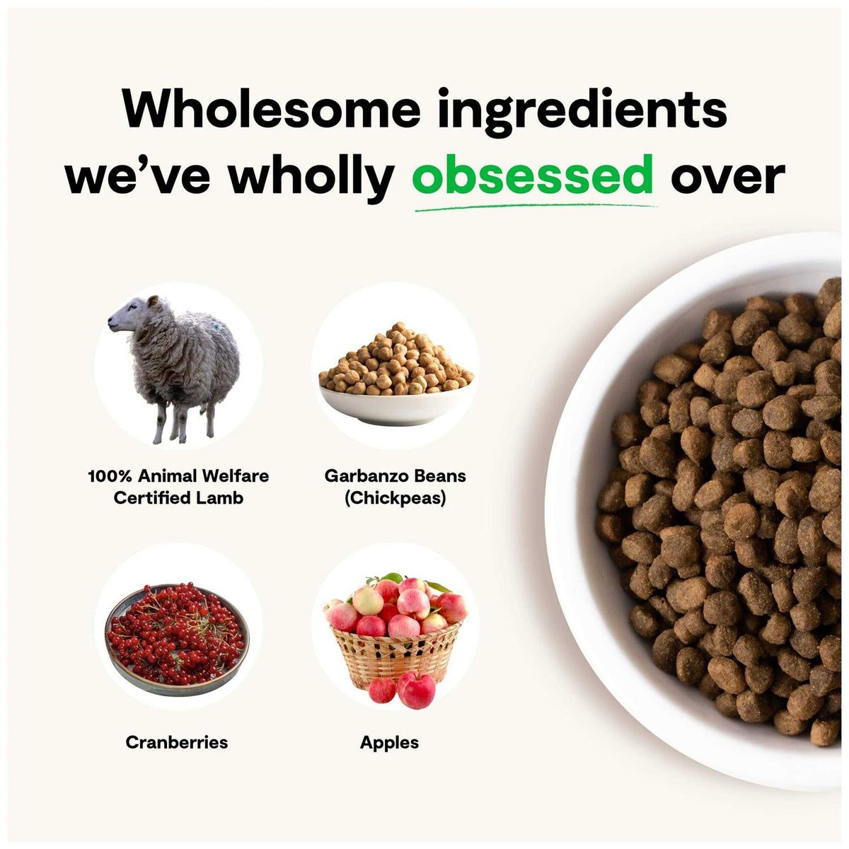 Grain-Free Pasture Raised Lamb Dry Dog Food W48974